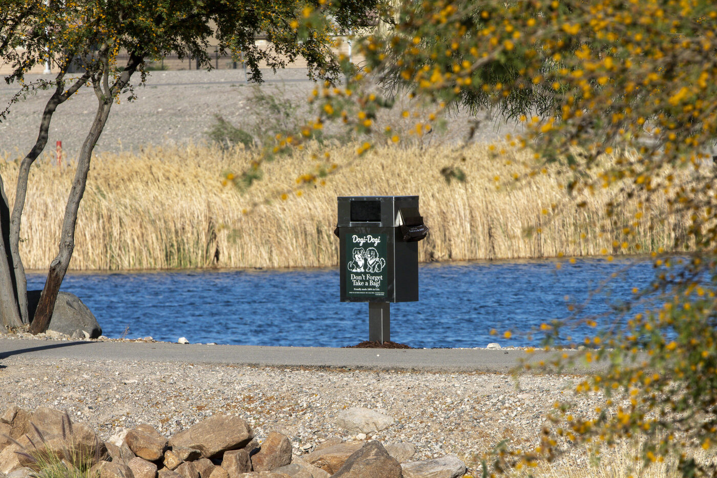 Dogi-Dogi stainless steel wicket station